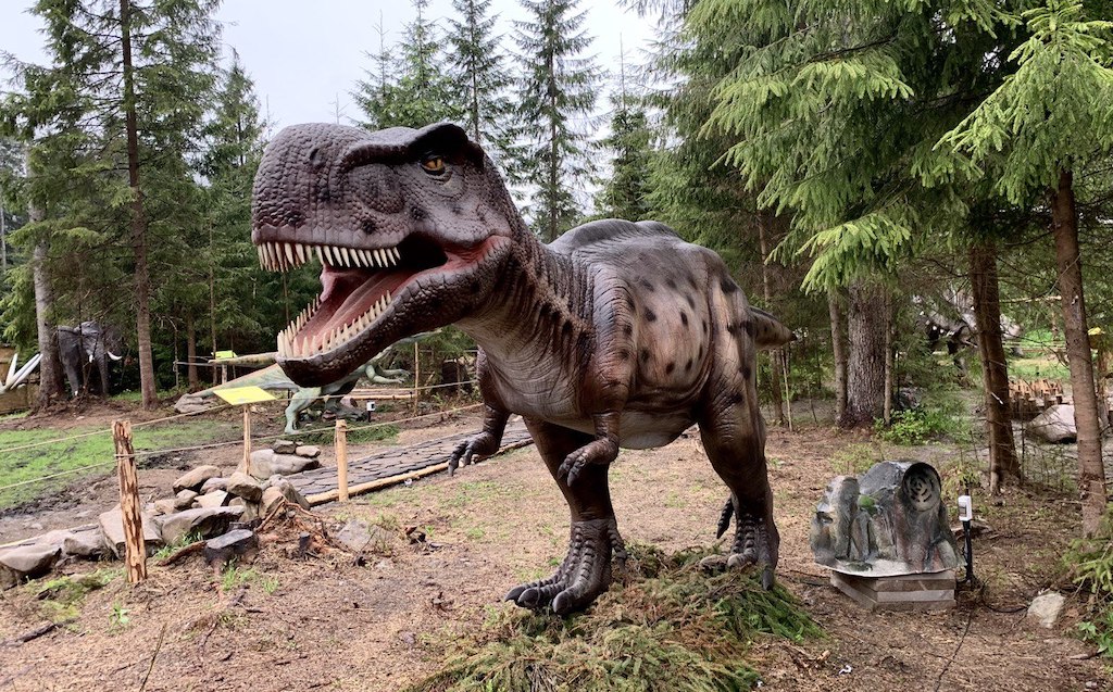 Парк Динозаврів в селі Поляниця